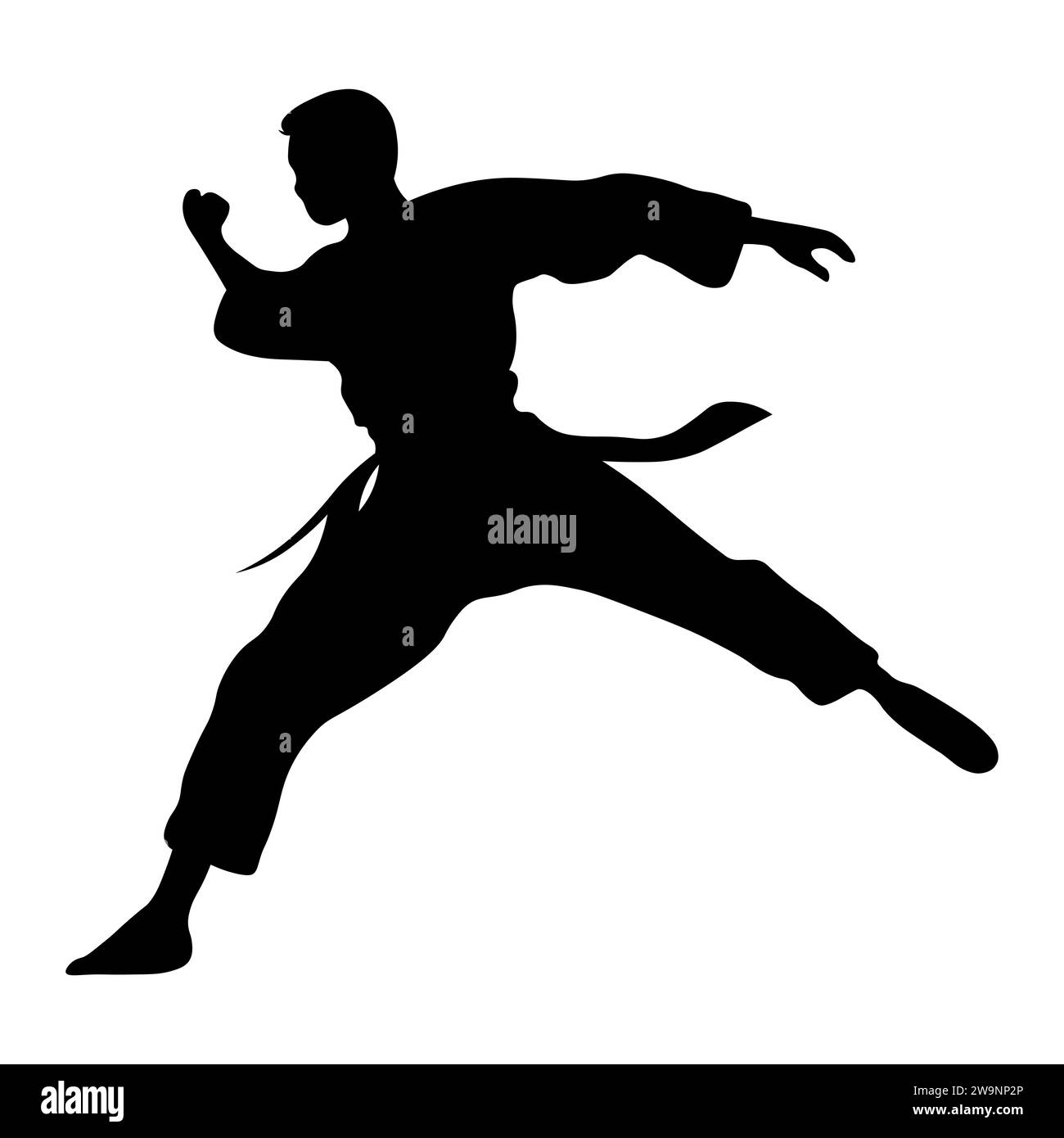 Kung-Fu-Vektor-Silhouette auf weißem Hintergrund Stock Vektor