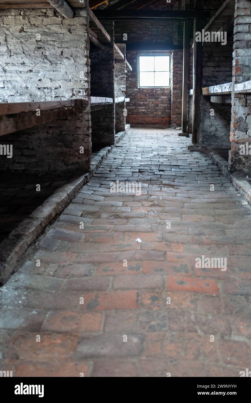 Unterbringung der Internierten einschließlich Schlafbereich und Toiletten in den Konzentrationslagern Auschwitz und Birkenau, Polen Stockfoto