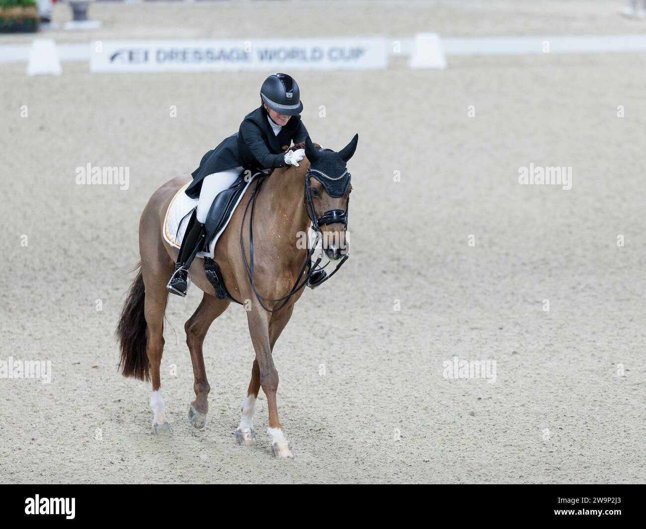 Charlotte Defalque von Belgien mit Botticelli während der FEI Dressage World Cup Free Style bei den springenden Mechelen am 29. Dezember 2023, Nekkerhal, Belgien (Foto: Maxime David - MXIMD Pictures) Stockfoto