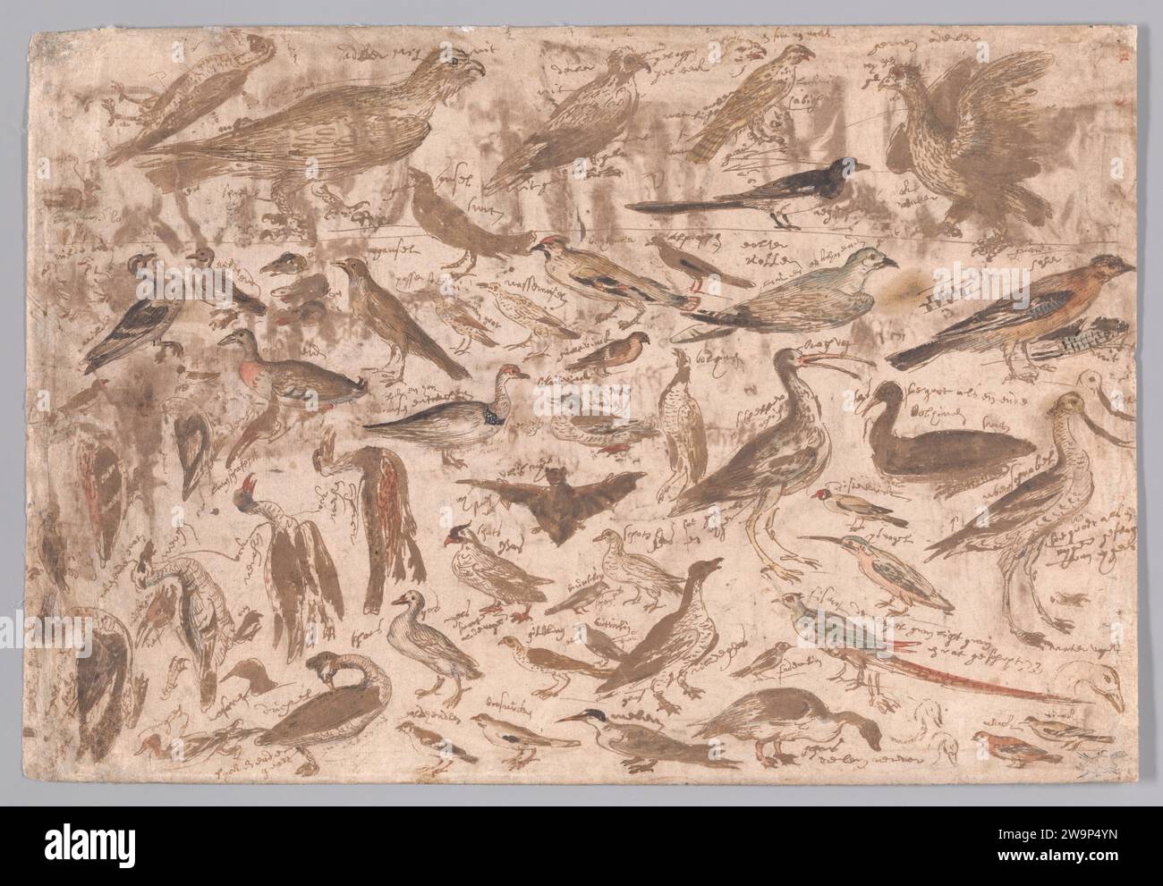 Vogelstudien (Recto); Dorfszene mit Skatern (verso) 2008 von Albert Flamen Stockfoto