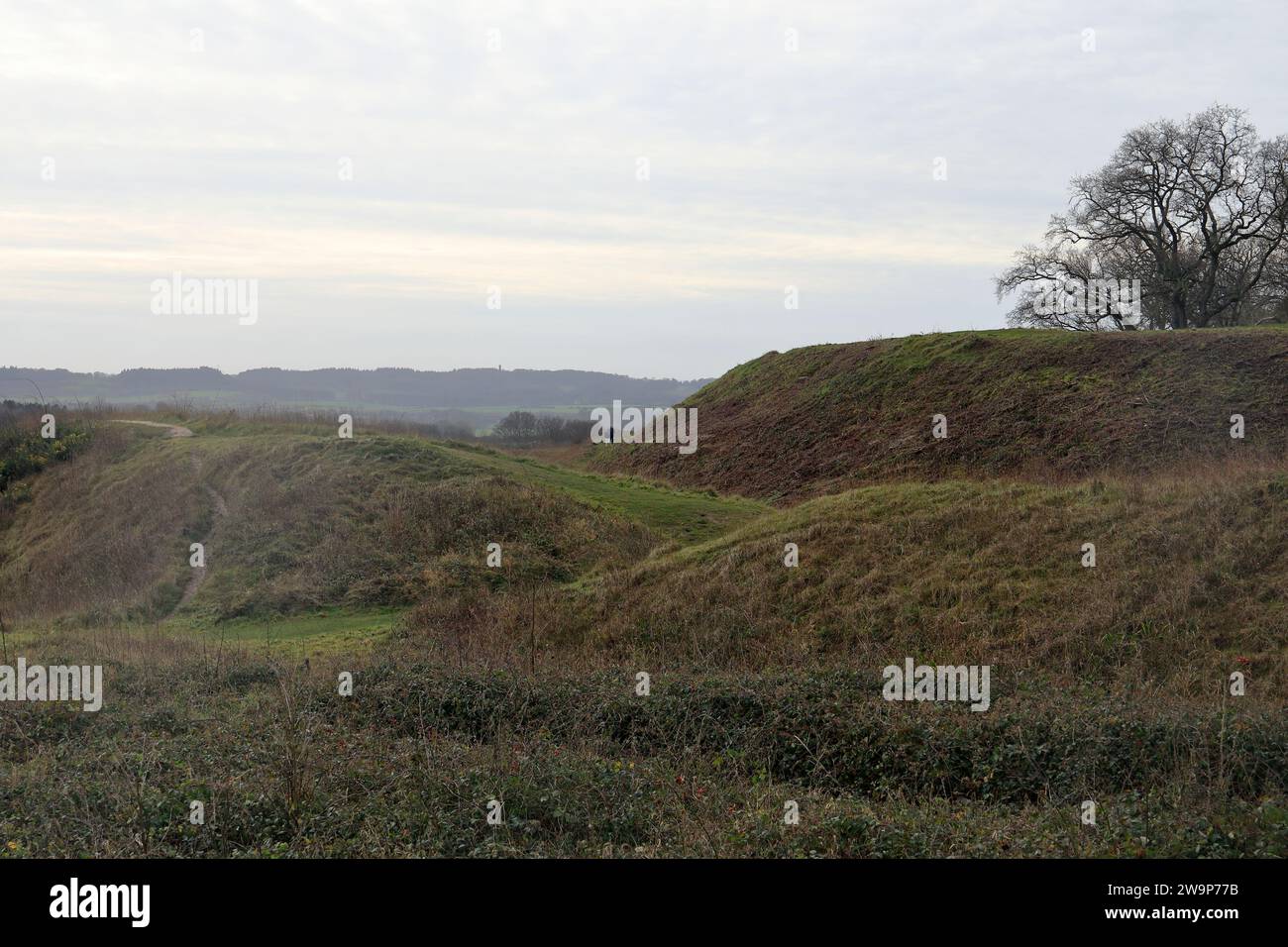 Blick auf das eisenzeitliche Fort bei Badbury Rings in der Nähe von Kingston Lacy, Dorset, mit zwei der Ringe mit einem Baum und einer Landschaft dahinter Stockfoto