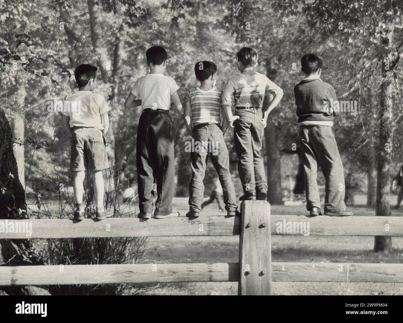 Rückansicht von fünf Jungen, die auf einem Parkzaun stehen, New York City, New York, USA, Angelo Rizzuto, Anthony Angel Collection, September 1956 Stockfoto