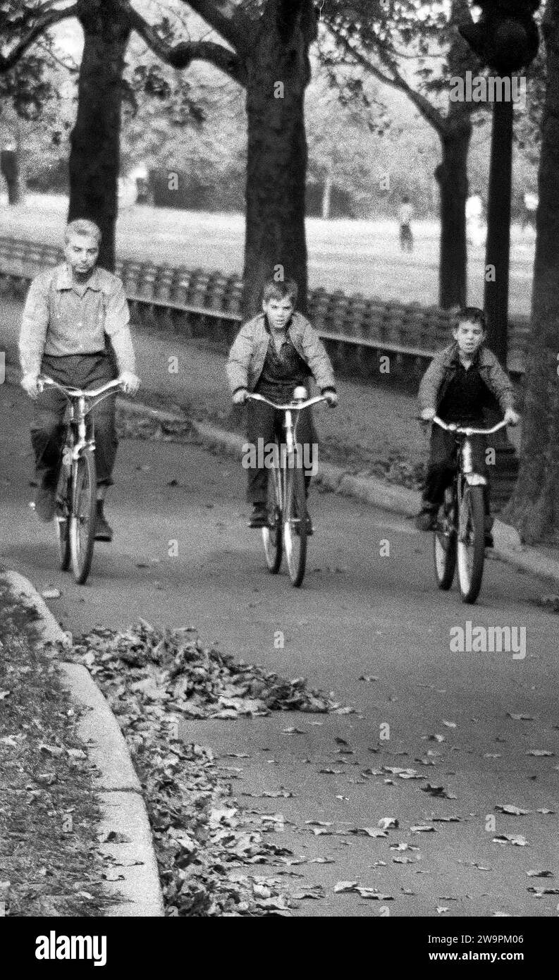 Mann und zwei Jungs fahren mit dem Fahrrad durch Central Park, New York City, New York, USA, Angelo Rizzuto, Anthony Angel Collection, Oktober 1956 Stockfoto