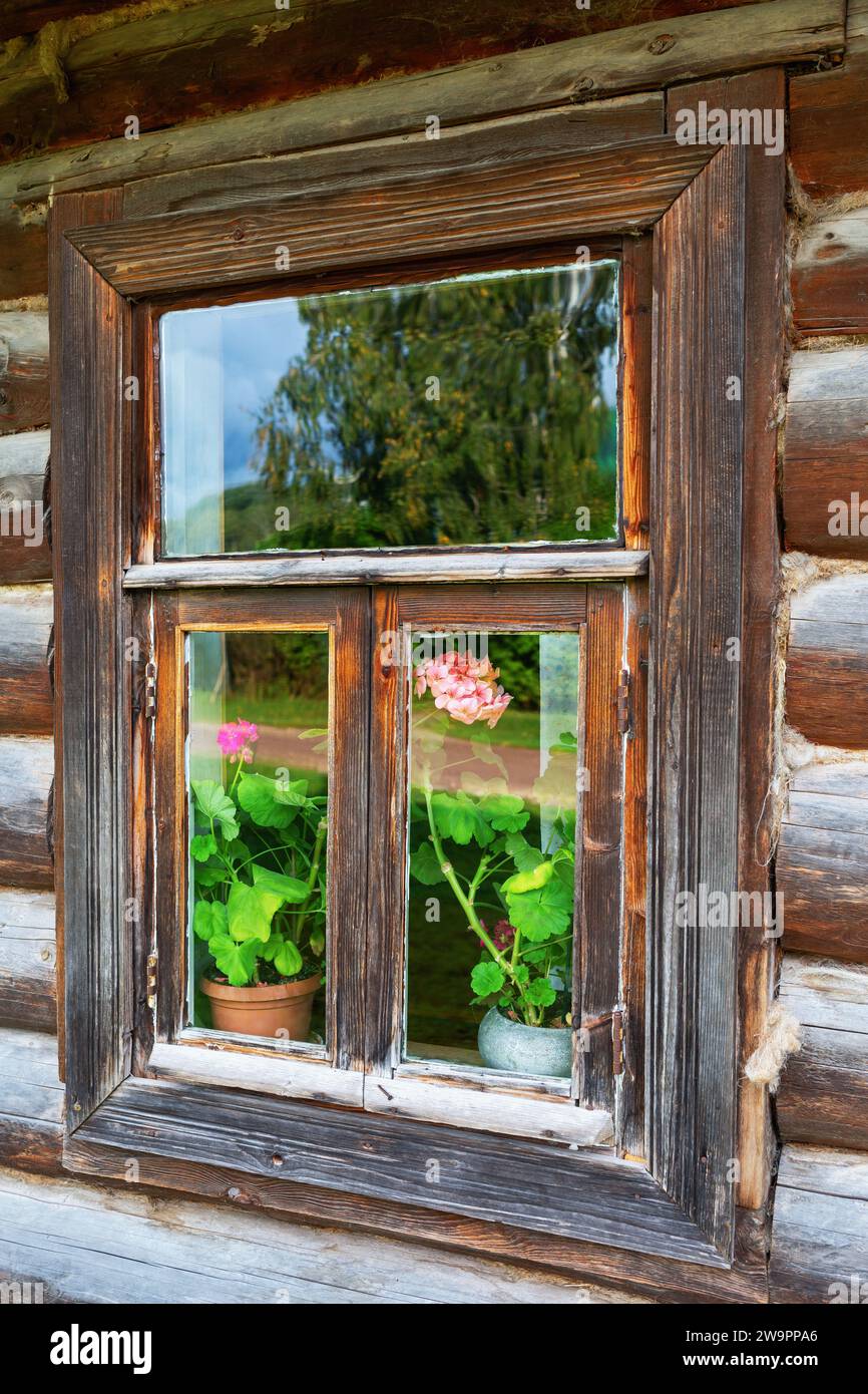 Rustikales Fenster mit Blumen in einem alten Holzhaus aus Nahaufnahme Stockfoto