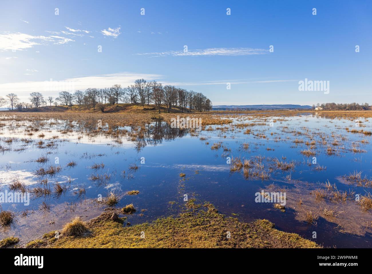 Überflutete Wiesen von einem Feuchtgebiet an einem sonnigen Frühlingstag, Hornborgasjoen, Schweden Stockfoto