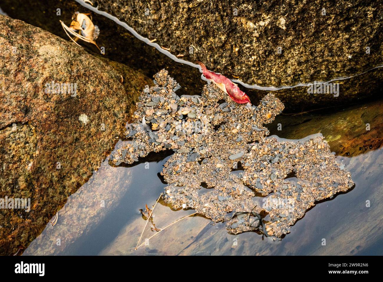 Kleine Steine, die auf der Oberfläche des ruhigen Wassers schweben und durch Oberflächenspannung auf der Wasseroberfläche gehalten werden. Stockfoto