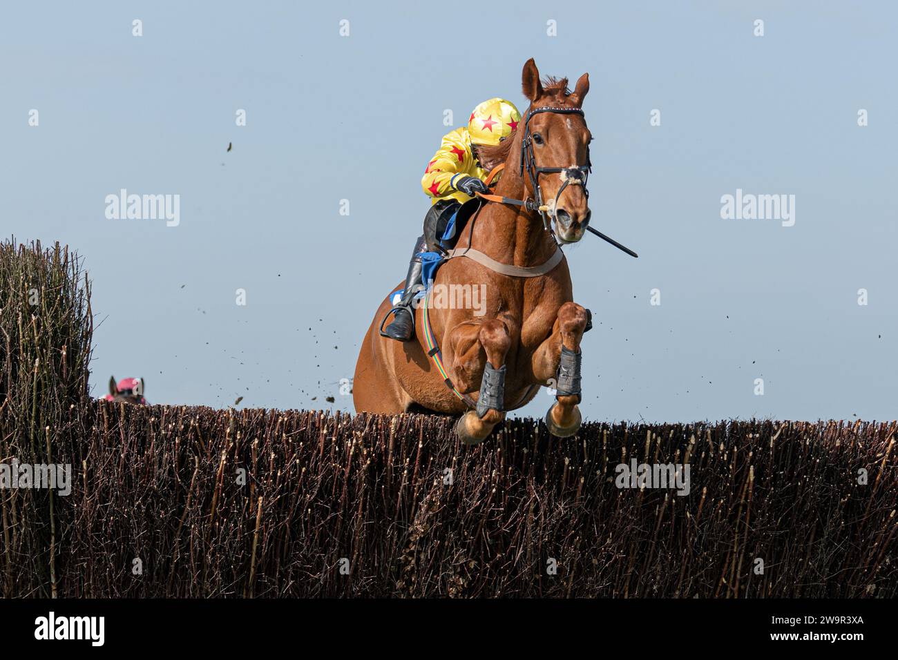 Forget You Not, Sieger im Wincanton unter James Best für Jackie du Plessis, 21. März 2022 Stockfoto