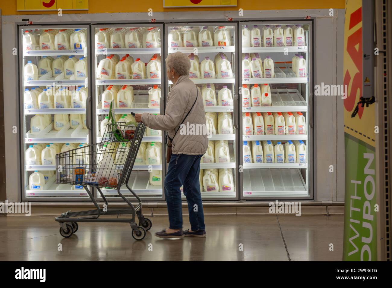 Ältere Weiße mit Einkaufswagen, die am Milchkühler des Supermarktes vorbeiläuft Stockfoto