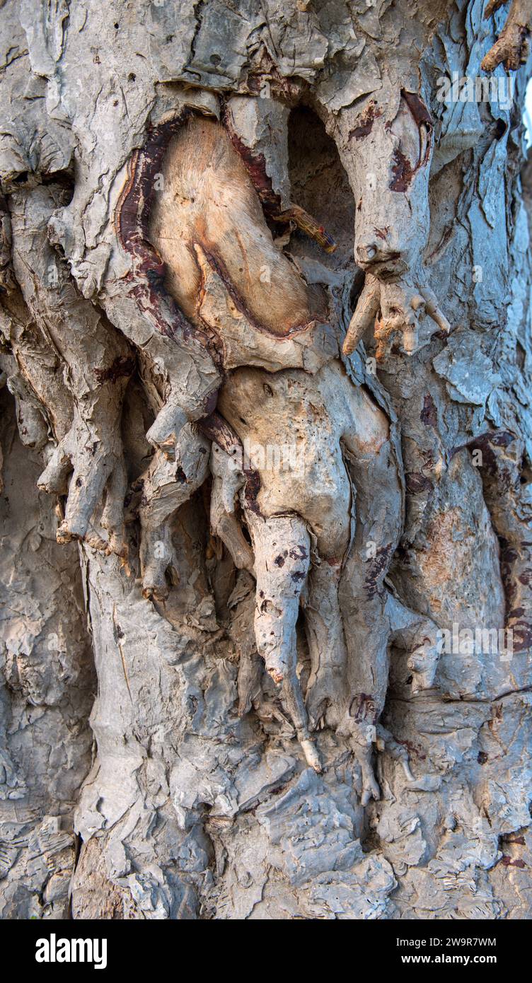 Actuell Klimaveränderung in Europa Stockfoto