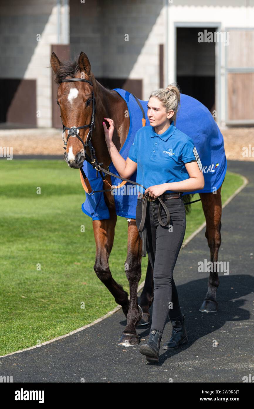 Reserve Tank Reiten von Brendan Powell für Joe Tizzard in Wincanton am 21. März 2022 Stockfoto