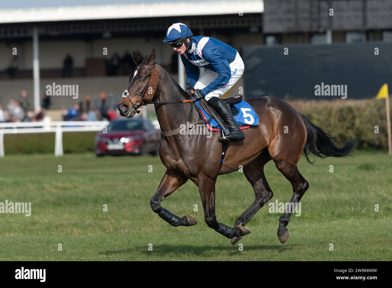 Fotos des Rennpferdes „Greifvögel“, geritten von Harry Cobden, trainiert von Paul Nicholls, auf der Rennbahn Wincanton, 21. März 2022 Stockfoto