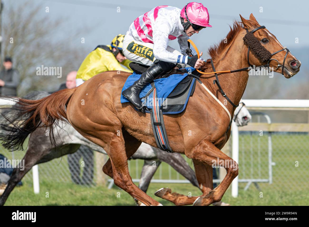 River Bray, Sieger des 2. Rennens in Wincanton, geritten von Alan Johns und trainiert von Victor Dartnall Stockfoto