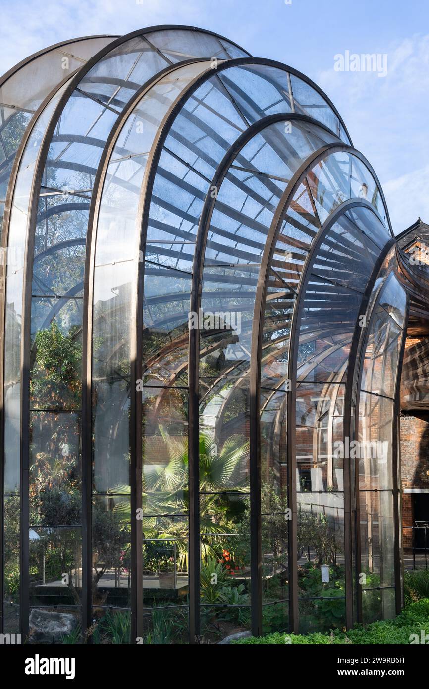 Nahaufnahme der ikonischen mediterranen Gewächshäuser, die von den Heatherwick Studios in Laverstoke Mill - Bombay Sapphire Destillery, Großbritannien, entworfen wurden Stockfoto