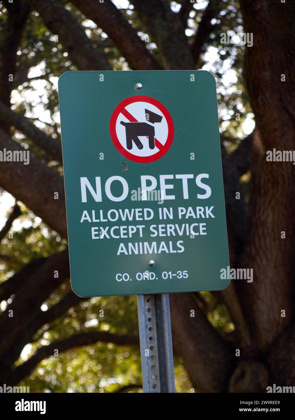 Melden Sie sich im öffentlichen Park von Miami an, wo Haustiere verboten sind. Stockfoto