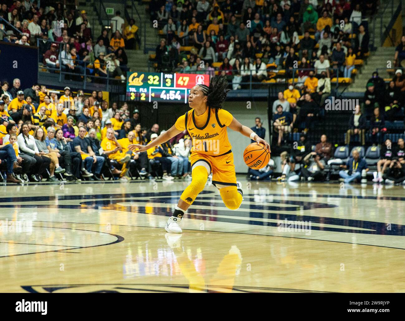 Haas Pavilion Berkeley Calif, USA. Dezember 2023. Leilani McIntosh (1) spielt während des NCAA Women's Basketball-Spiels zwischen Stanford Cardinal und den California Golden Bears. Stanford schlug Kalifornien 78-51 im Haas Pavilion Berkeley Kalifornien Thurman James/CSM/Alamy Live News Stockfoto