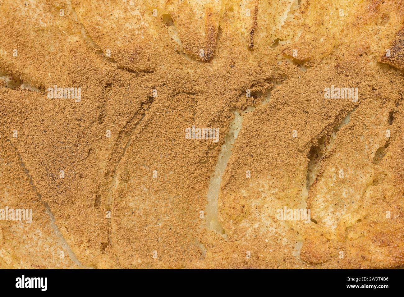 Eine Nahaufnahme eines frisch gebackenen Apfelkuchen, ein hausgemachtes Dessert, das mit Zimtpulver bestäubt ist und eine unwiderstehliche Kombination schafft. Heiz Stockfoto