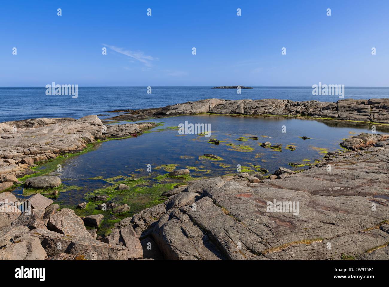 Ein flaches Felsbecken und grünes Algenwachstum liegen zwischen glatten Küstenfelsen neben dem blauen norwegischen Meer in Lofoten, Norwegen. Stockfoto