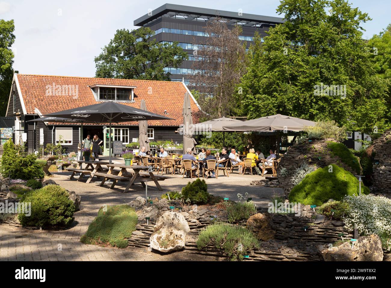 Garden Café Botanica im Botanischen Garten der Universität Utrecht. Stockfoto