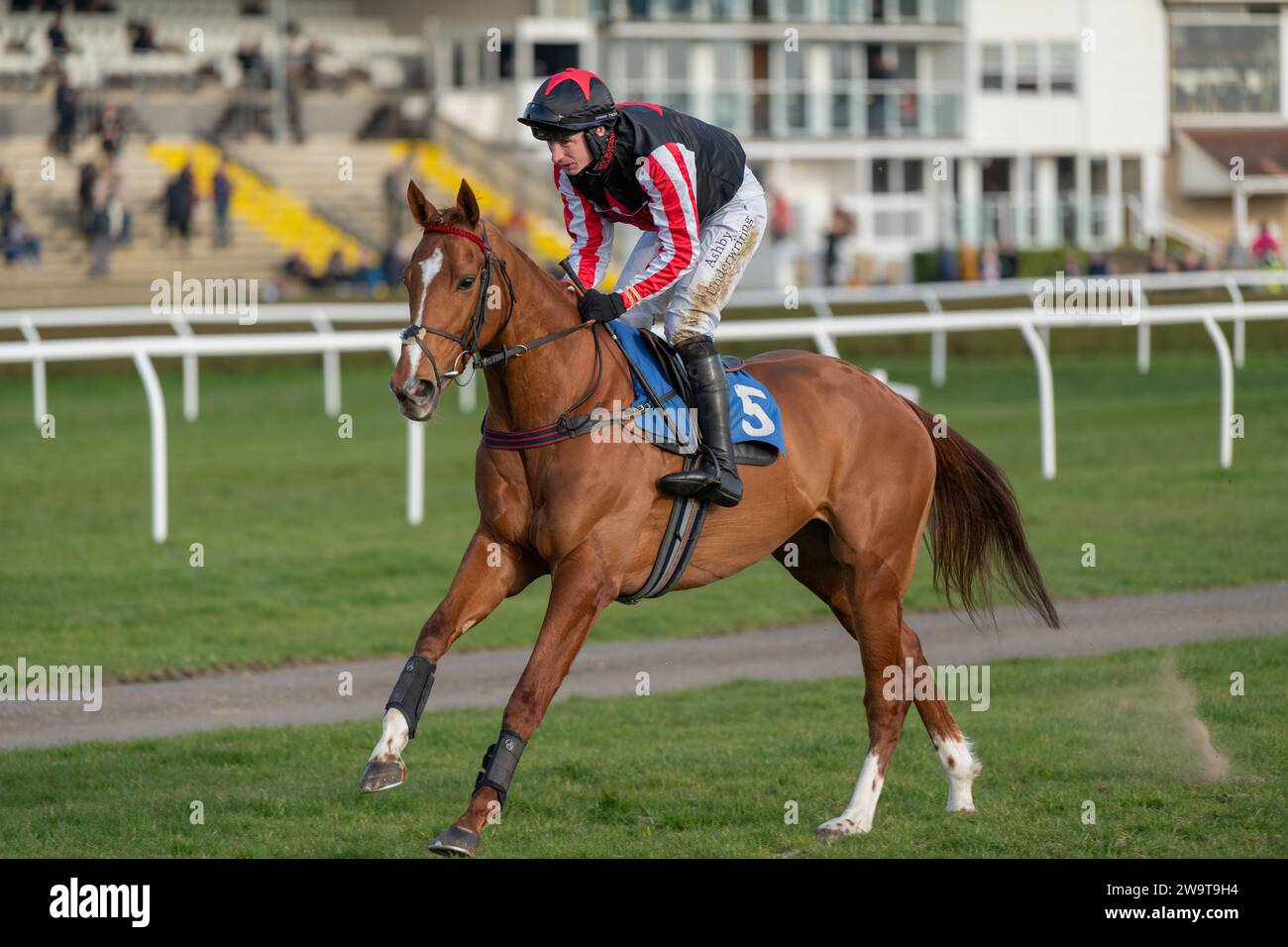 Man of Light, geritten von Tom O’Brien und trainiert von Philip Hobbs, lief am 21. März 2022 in Wincanton Stockfoto