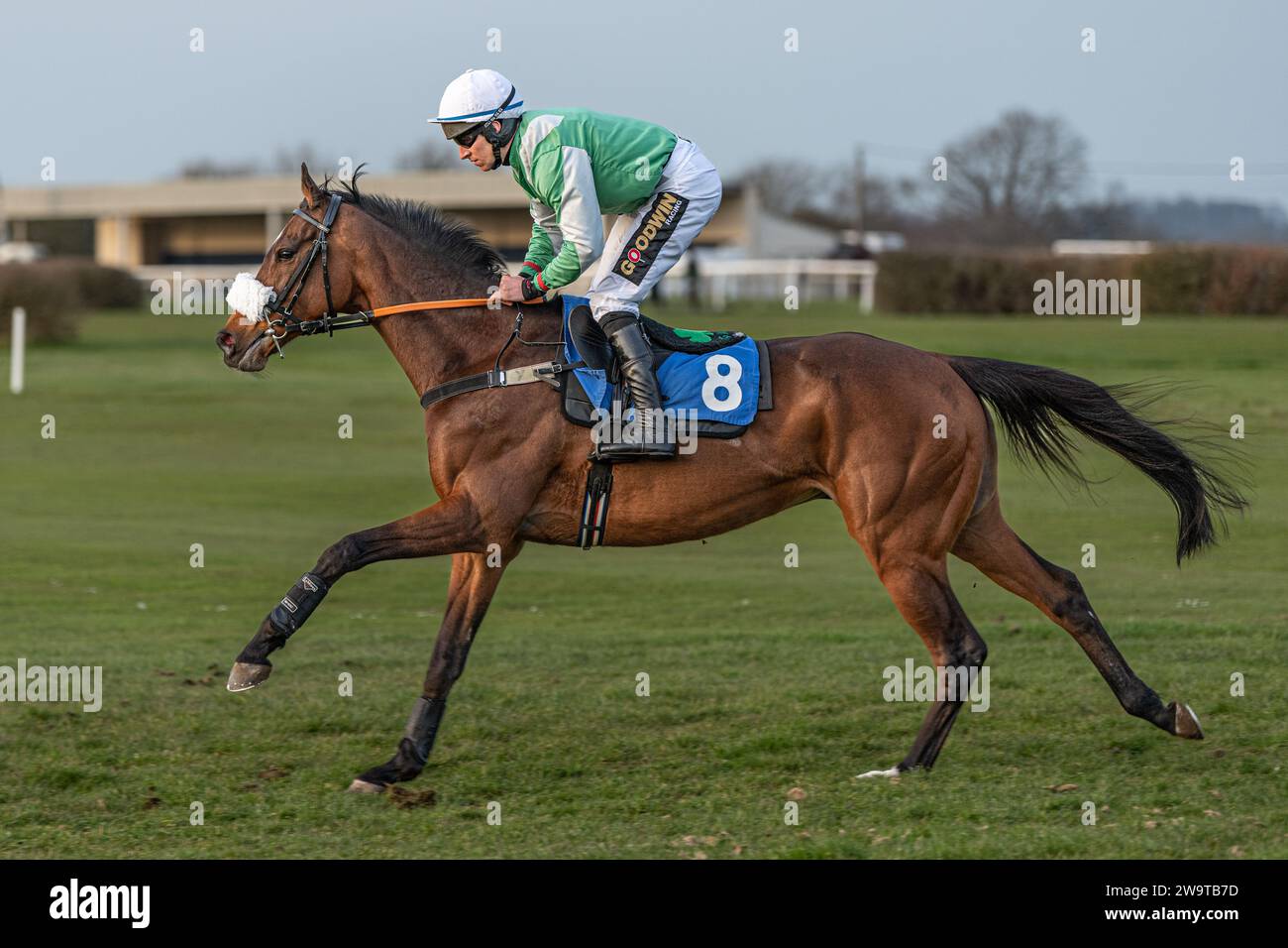 Auenwirbel, geritten von Gavin Sheehan und trainiert von Laura Young, lief in der Klasse 5 Handicap Hürde in Wincanton, 21. März 2022 Stockfoto