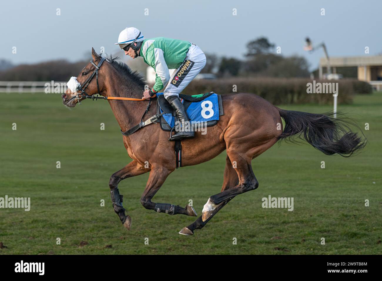 Auenwirbel, geritten von Gavin Sheehan und trainiert von Laura Young, lief in der Klasse 5 Handicap Hürde in Wincanton, 21. März 2022 Stockfoto