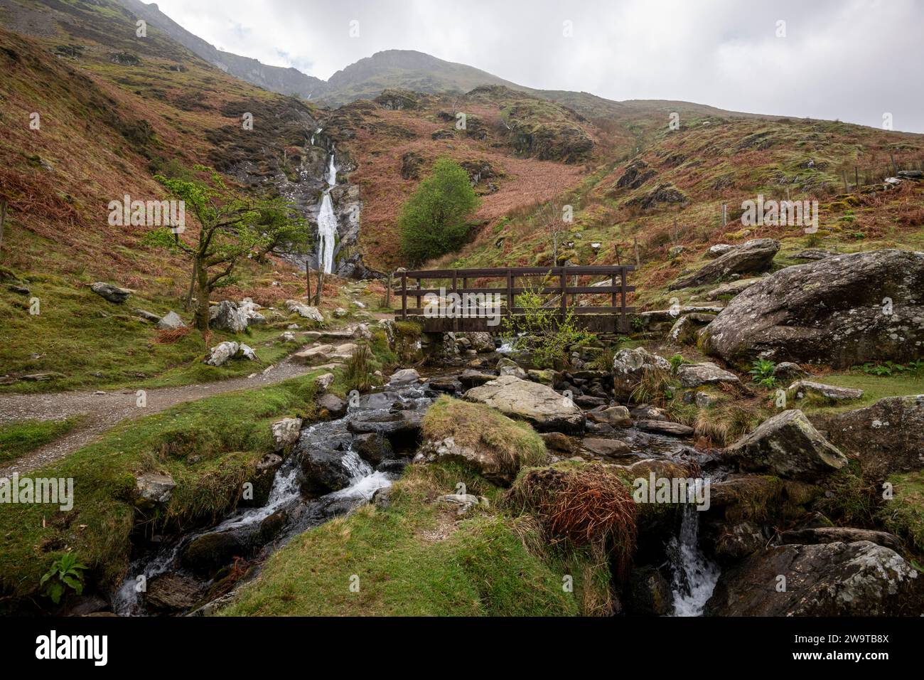 Wasserfälle von Rhaeadr Bach in der Nähe von Abergwyngregyn in Gwynedd, Nordwales. Stockfoto