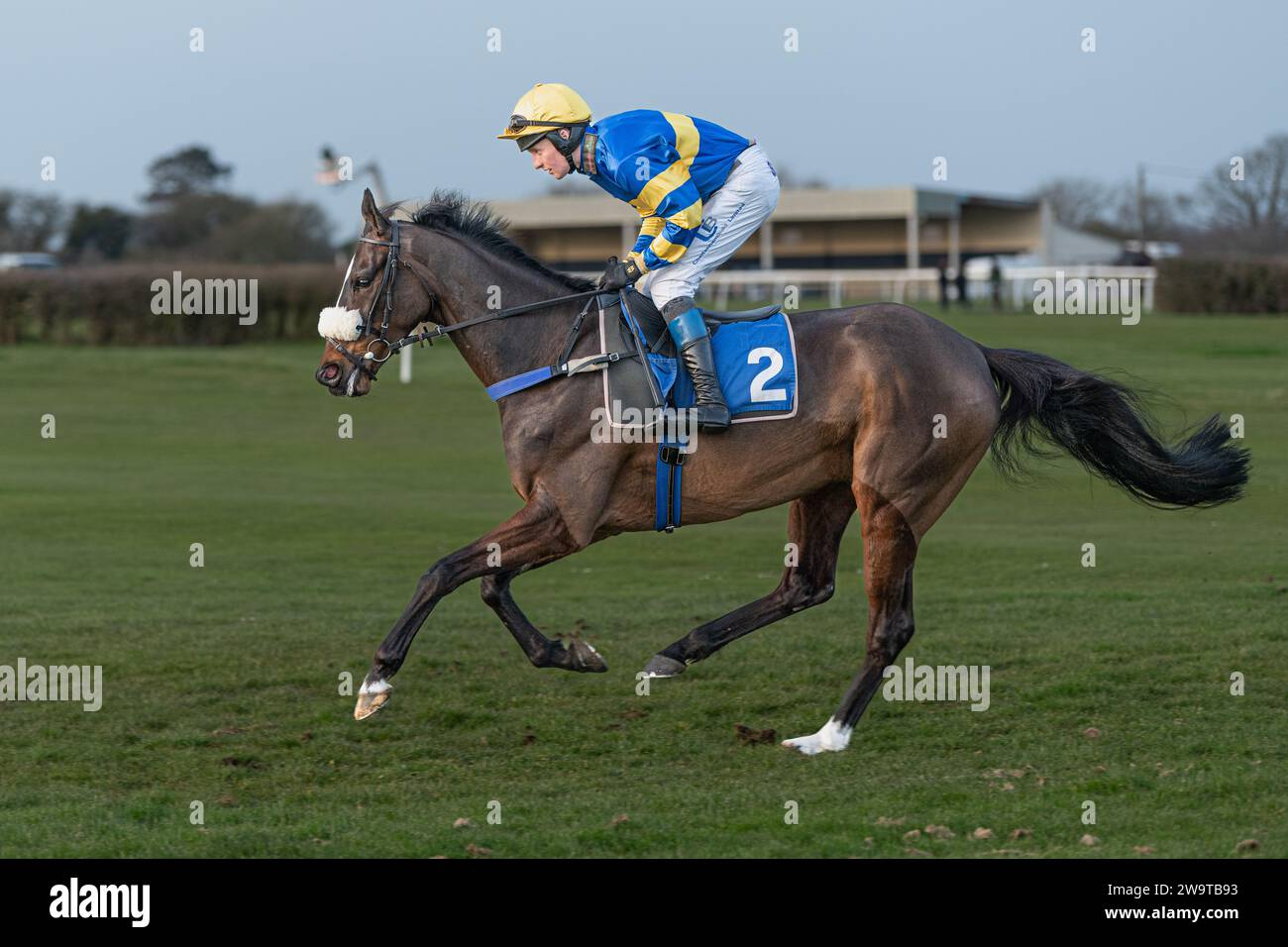 Unsterblicher Fame, geritten von Stan Sheppard und trainiert von Tom Lacey, gewann die Handicap-Hürde in Wincanton am 21. März 2022 Stockfoto