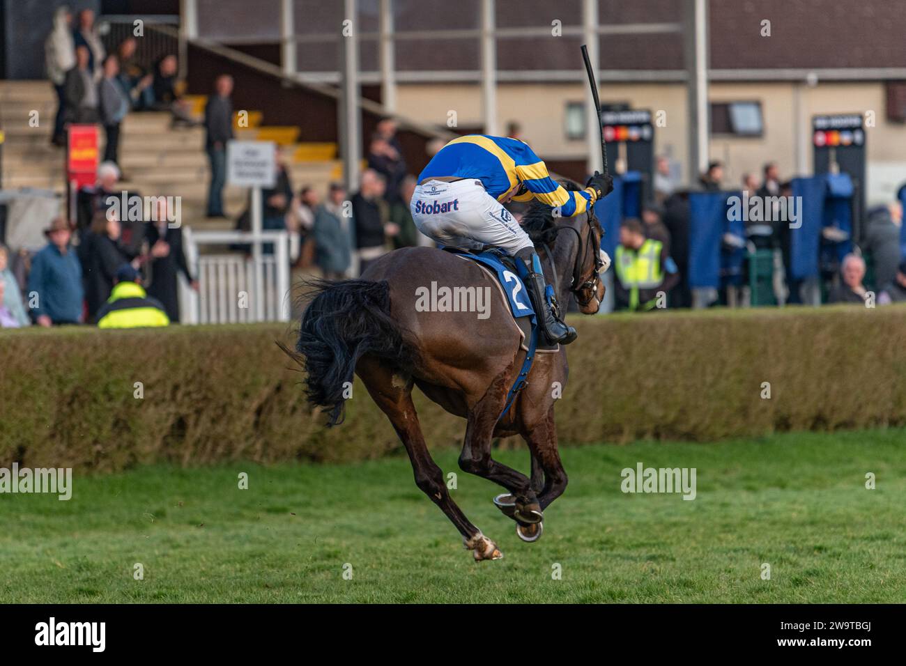 Unsterblicher Fame, geritten von Stan Sheppard und trainiert von Tom Lacey, gewann die Handicap-Hürde in Wincanton am 21. März 2022 Stockfoto