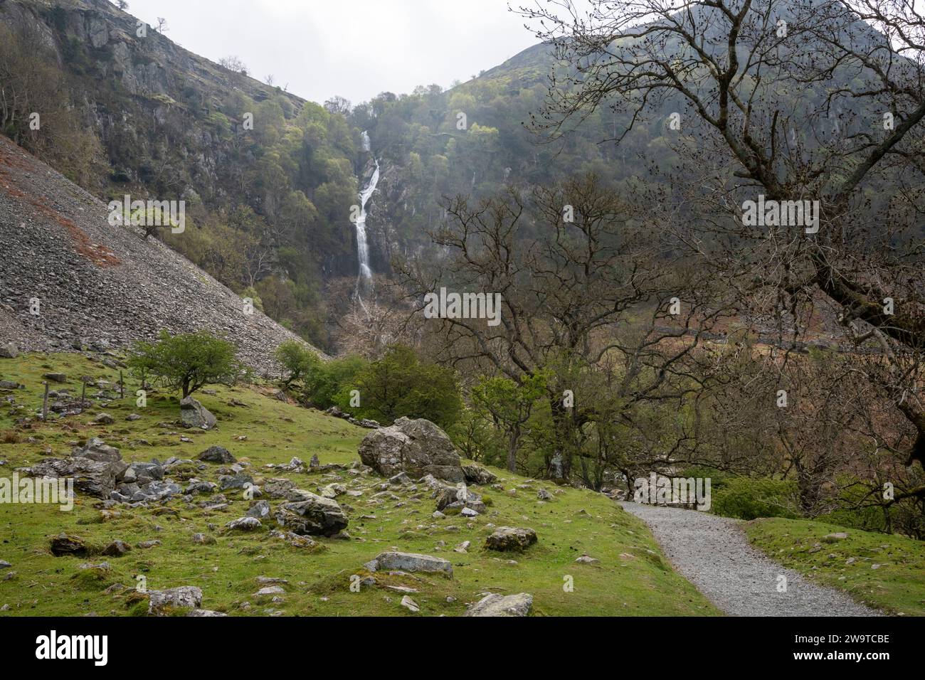Aber Falls nahe Abergwyngregyn am Rande der Carneddau Mountains in Nordwales. Stockfoto