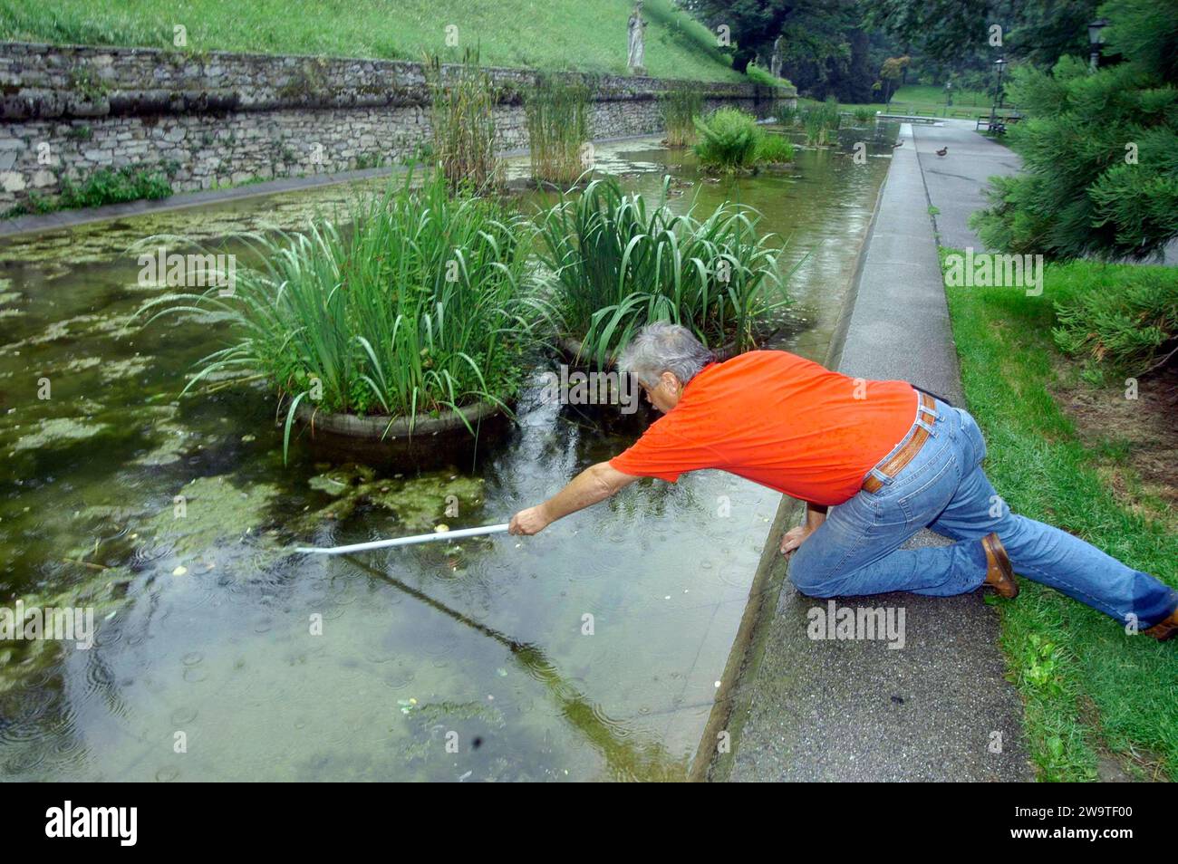 Algen oder Algen im Wasser als Indikator für die Wasserqualität Algen oder Algen im Wasser Stockfoto