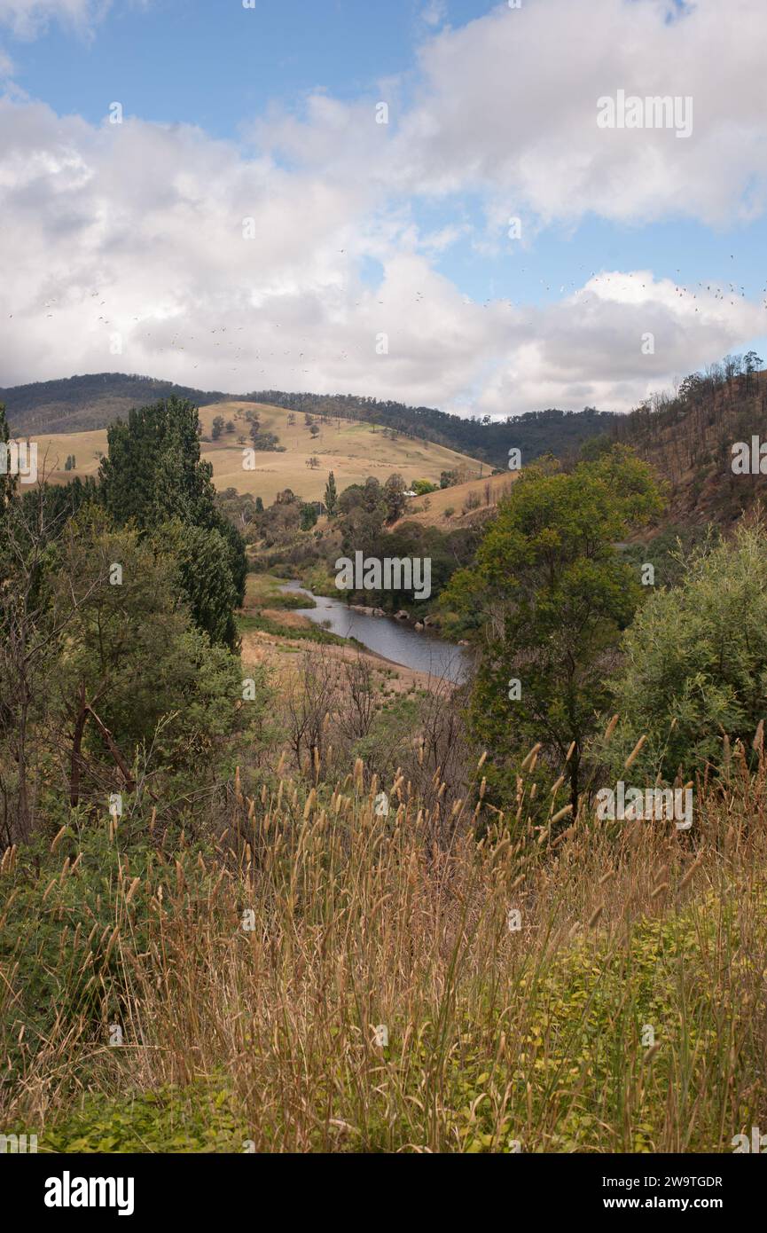 Tambo River von der großen Alpenstraße aus gesehen, Victoria, Australien Stockfoto
