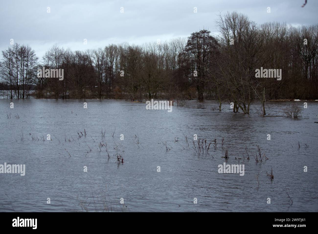 Land unter Wasser in Niederlangen, Landkreis emsland, niedersachsen, Nordwesten deutschlands Stockfoto