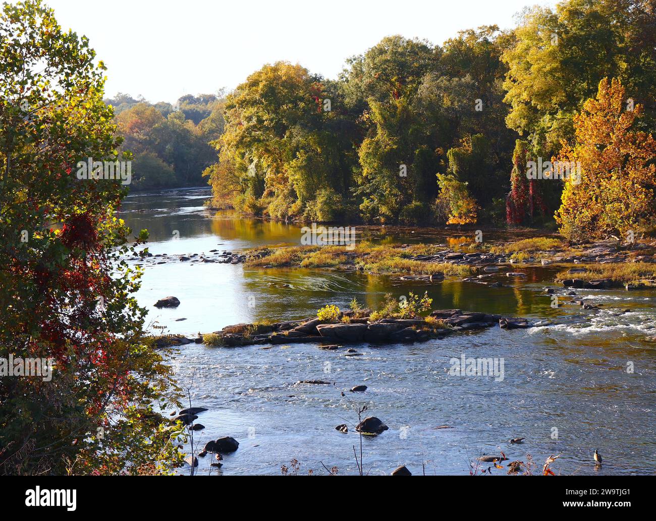 Rapids of Rappahannock River in Fredericksburg Virginia im frühen Herbst Stockfoto
