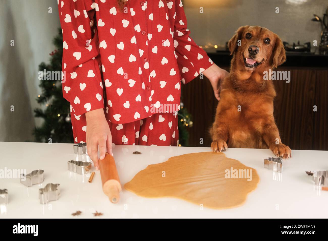 Eine junge Frau steht neben ihrem goldenen Retriever-Hund in der Küche. Stockfoto