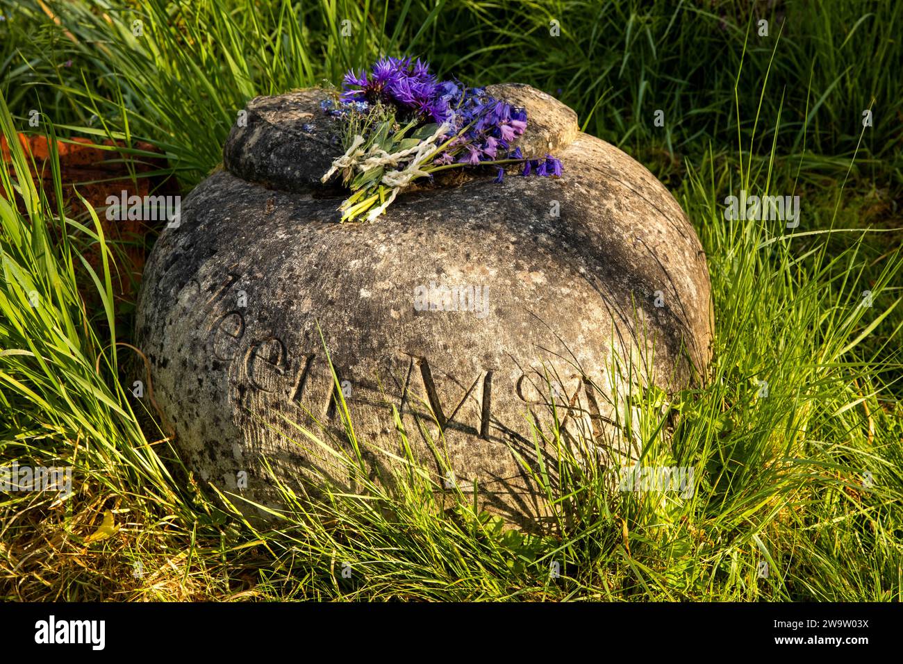 Großbritannien, England, Surrey, Compton, Pucks Oak Barn Orchard, wilde Blumen auf Kathleen McAlmont Gedenkstein Stockfoto