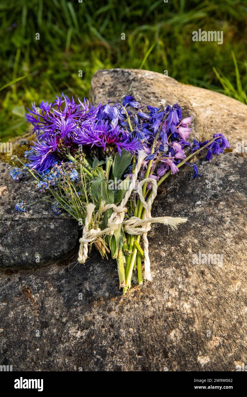 Großbritannien, England, Surrey, Compton, Pucks Oak Barn Orchard, wilde Blumen auf Kathleen McAlmont Gedenkstein Stockfoto