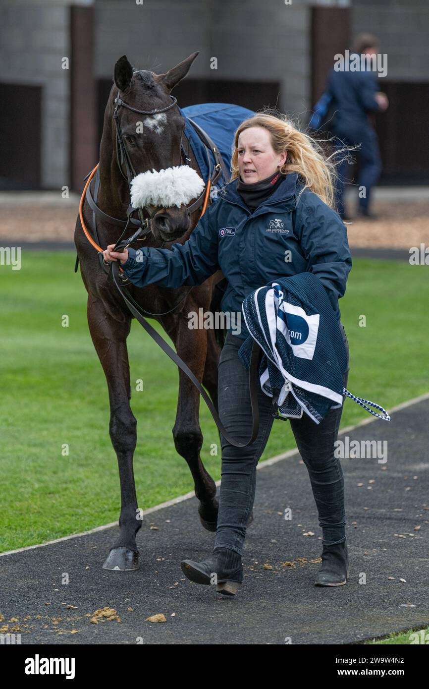 No.7 Glenview Beauty, geritten von Harry Reed und trainiert von Neil Mulholland, Rennen in Wincanton, 10. März 2022 Stockfoto