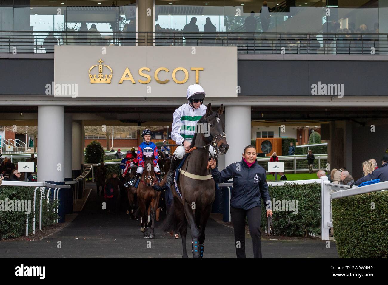 Ascot, Großbritannien. Dezember 2023. Horse Botox, geritten von Jockey Caoilin Quinn, geht auf die Rennstrecke auf der Ascot Racecourse, um am Howden Long Walk Hürdenrennen am Howden Christmas Racing Weekend teilzunehmen. Eigentümer John und Yvonne Stone, Trainer Gary Moore, Sponsor K M Elite Products Ltd Kredit: Maureen McLean/Alamy Stockfoto