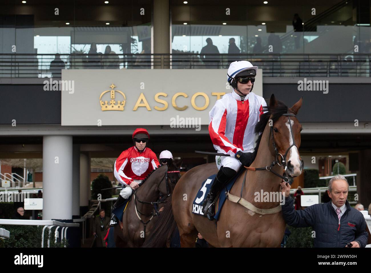 Ascot, Großbritannien. Dezember 2023. Horse Goshen, geritten von Jockey Niall Houlihan, geht auf die Rennstrecke auf der Ascot Racecourse, um beim Howden Long Walk Hürdenrennen am Howden Christmas Racing Weekend zu Rennen. Eigentümer Steven Packham. Trainer Gary Moore, Horsham. Sponsor K M Elite Products Ltd Kredit: Maureen McLean/Alamy Stockfoto