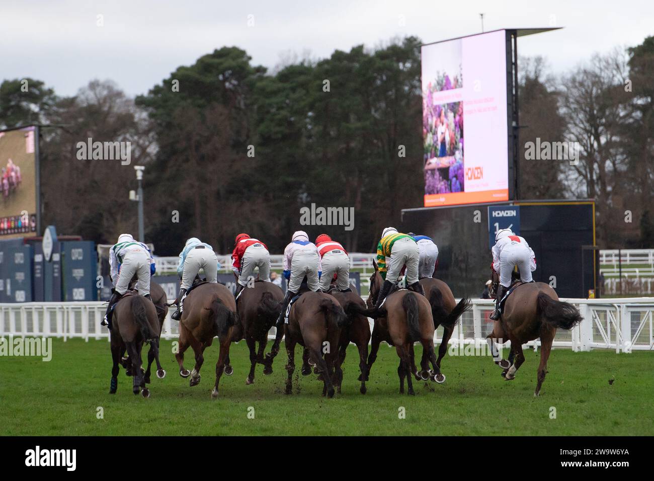 Ascot, Großbritannien. Dezember 2023. Fahrer beim Howden Long Walk Hürdenrennen auf Ascot Racecoures am zweiten Tag des Howden Christmas Racing Weekend. Kredit: Maureen McLean/Alamy Stockfoto