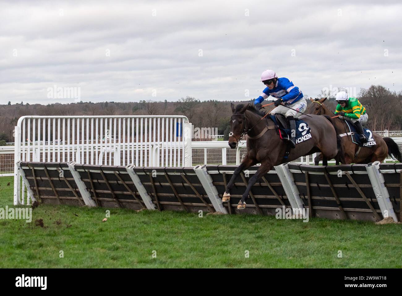 Ascot, Großbritannien. Dezember 2023. Horse West Balboa (Nr. 9), geritten vom Jockey Harry Skelton, ist beim Howden Long Walk Hürdenrennen am Howden Christmas Racing Weekend auf der Ascot Racecourse das letzte Mal. Besitzer Bullen-Smith und Faulks. Trainer Dan Skelton, Alcester. Sponsor Ladbrokes, Air Ambulance Service (Warwickshire & Northamptonshire). Kredit: Maureen McLean/Alamy Stockfoto