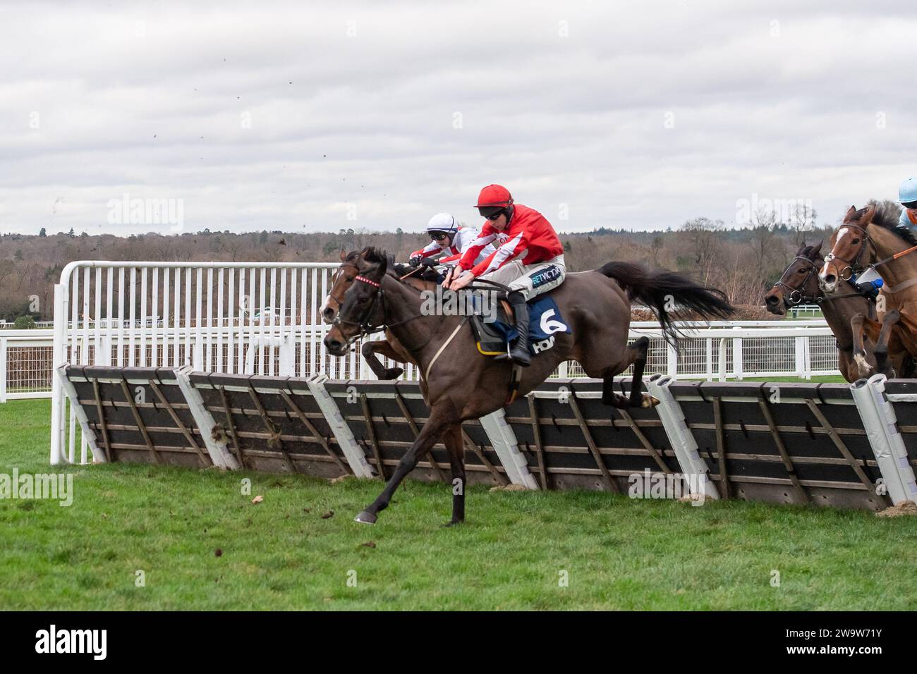 Ascot, Großbritannien. Dezember 2023. Horse Gowel Road, geritten von Jockey Gavin Sheehan, macht den letzten Platz beim Howden Long Walk Hürdle Race am Howden Christmas Racing Weekend. Eigentümeroptionen O Syndikat. Trainer Nigel Twiston-Davies, Cheltenham. Sponsor Options Energy Services Ltd Kredit: Maureen McLean/Alamy Stockfoto