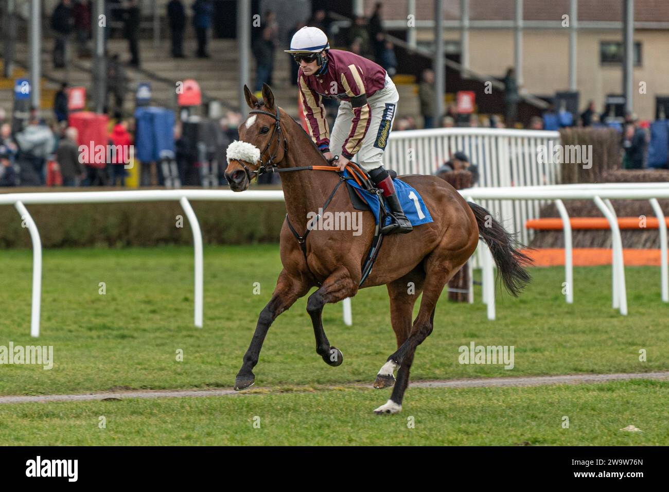 Maliboo, geritten von Sam Twiston-Davies und trainiert von Neil Mulholland, lief am 10. März 2022 in Wincanton über Zäune Stockfoto