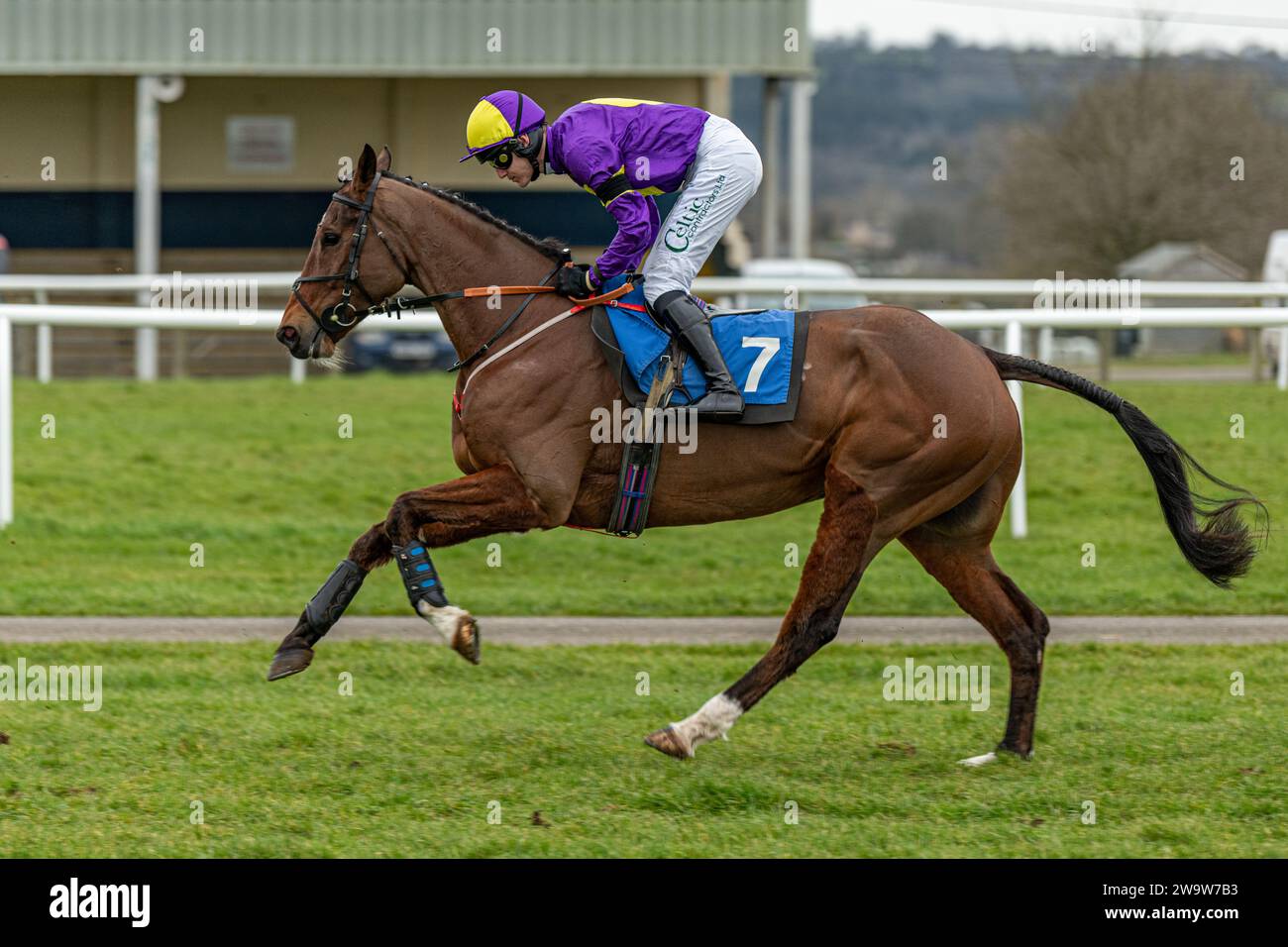 König Orry, geritten von Sean Houlihan und trainiert von Susan Gardner, Rennen in Wincanton über Zäune, 10. März 2022 Stockfoto