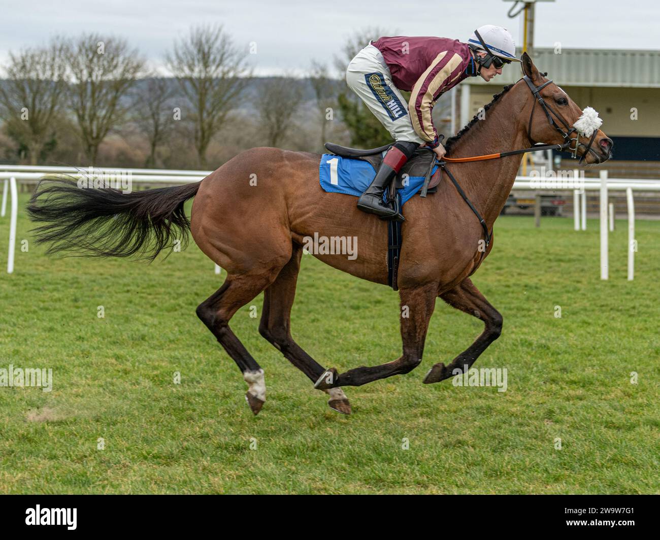 Maliboo, geritten von Sam Twiston-Davies und trainiert von Neil Mulholland, lief am 10. März 2022 in Wincanton über Zäune Stockfoto