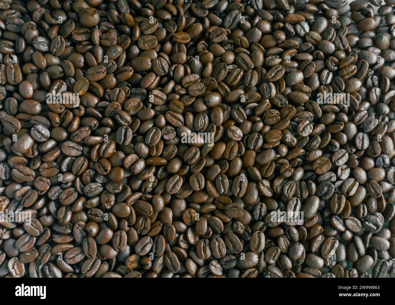 Hintergrund der Kaffeebohne, Röstkorn. Coffee Lover: Blick von oben auf geröstete Kaffeebohnen für Hintergrund und Textur. Ein Stapel gerösteter Kaffeebohnen können wir sein Stockfoto