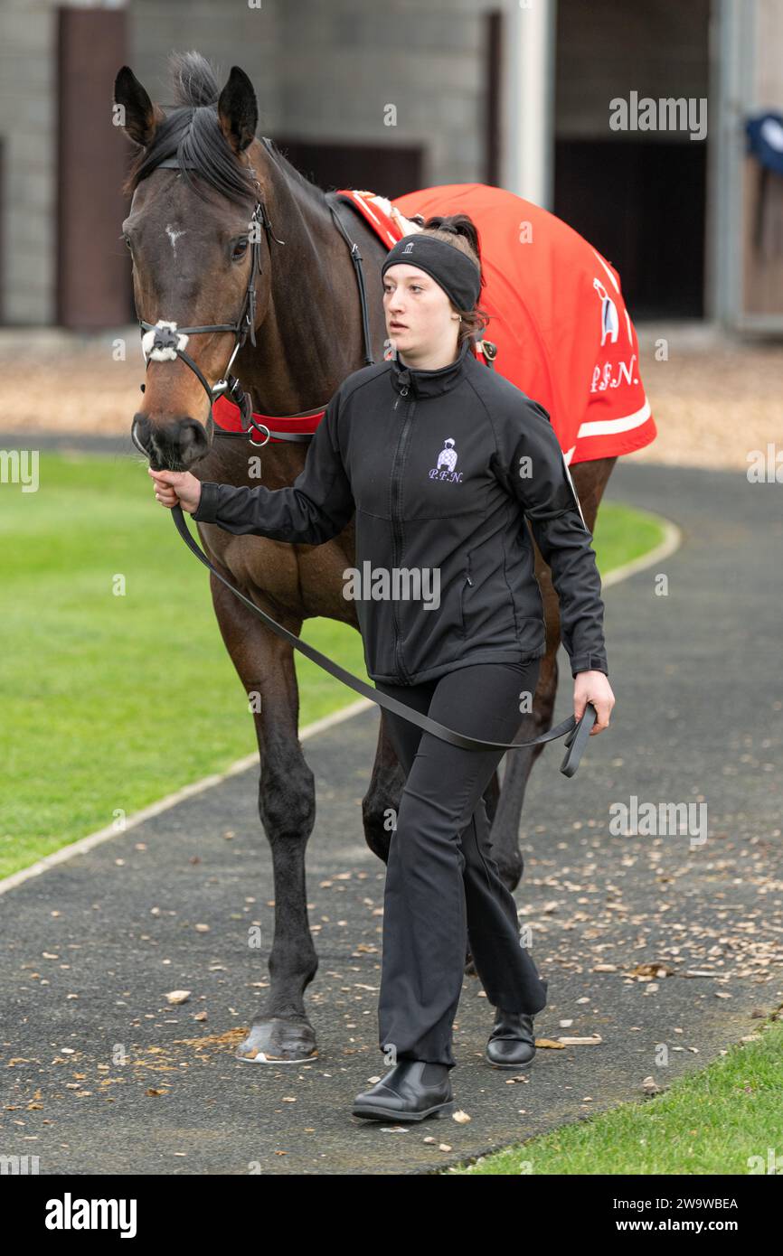 Amenon, geritten von Harry Cobden und trainiert von Paul Nicholls, Zweiter über Hürden in Wincanton, 10. März 2022 Stockfoto