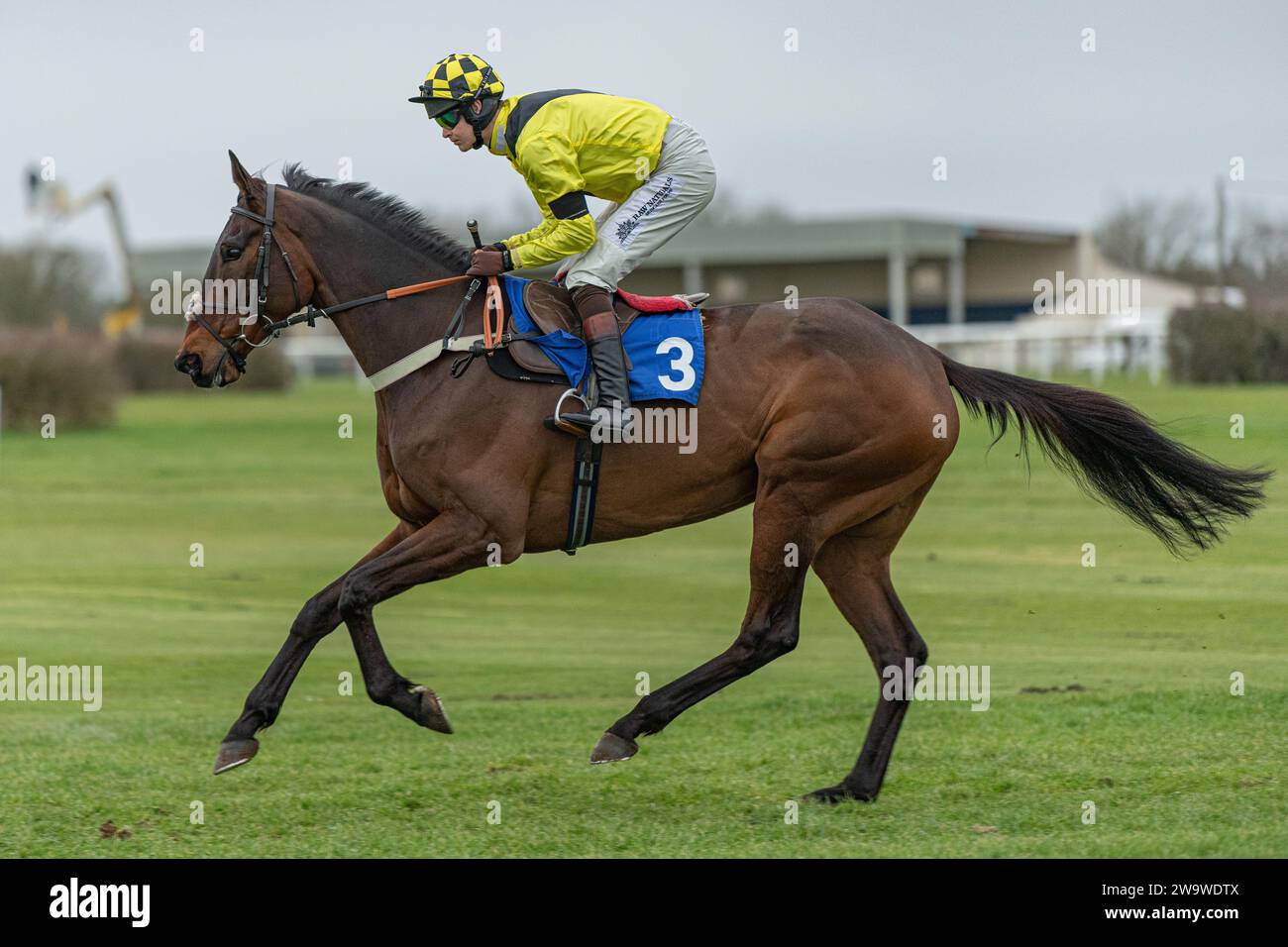 Bold Conduct, geritten von Brendan Powell und trainiert von Colin Tizzard, Rennen in Wincanton, 10. März 2022 Stockfoto