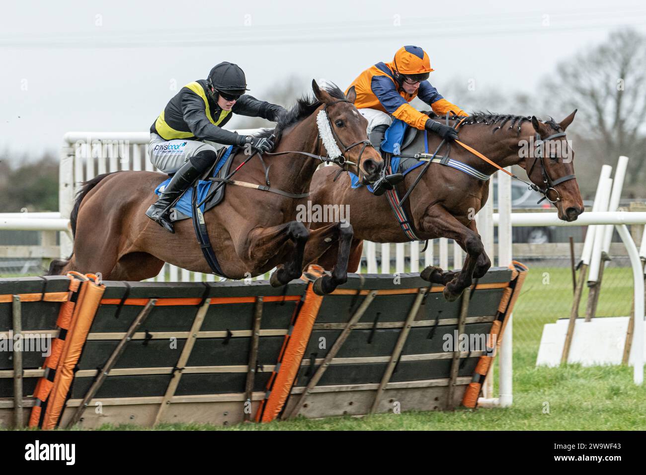 Doyen La Lutte und Wetandwindy wetteiferten um die Hürden in Wincanton, 10. März 2022 Stockfoto