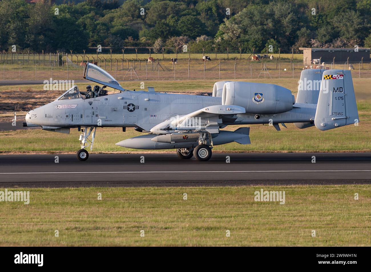 United States Air Force Fairchild A-10C Thunderbolt II 79-0175 Landung am Flughafen Glasgow-Prestwick, Schottland, Großbritannien Stockfoto